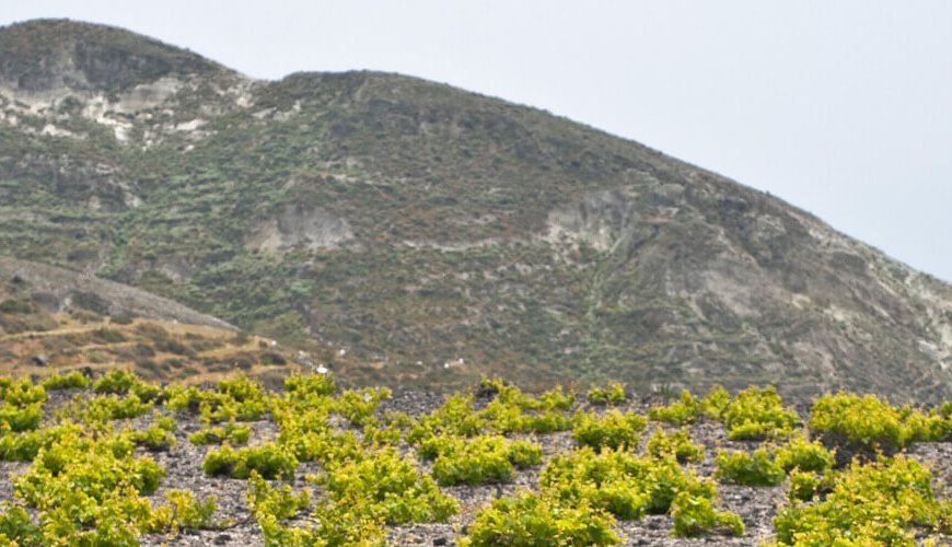The 7 Best Wineries to Explore in Santorini - Kamari Tours Excursions